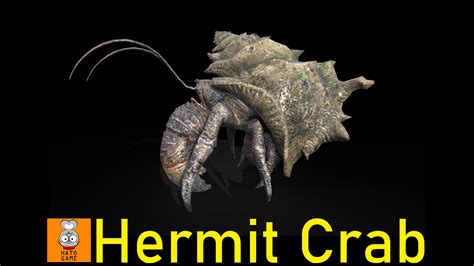 Monster : Hermit Crab in Characters - UE Marketplace