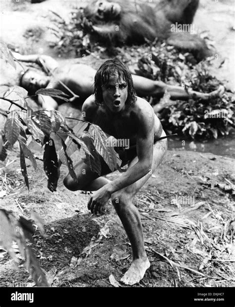 GREYSTOKE: THE LEGEND OF TARZAN, LORD OF THE APES Stock Photo - Alamy