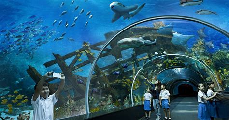 √ Ocean Park Hong Kong Shark Aquarium