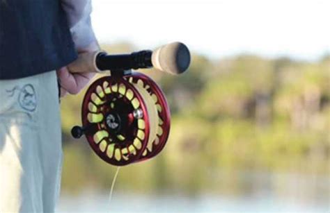 Making Sense of Saltwater Fly Reels - Coastal Angler & The Angler Magazine