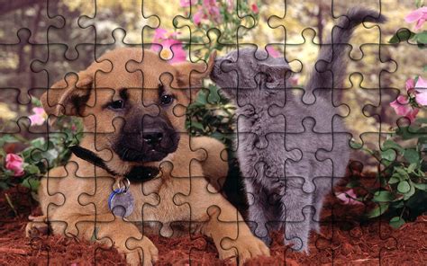 14+ Fun Jigsaw Puzzles How to recycle: recycled jigsaw puzzle pieces | Images Collection