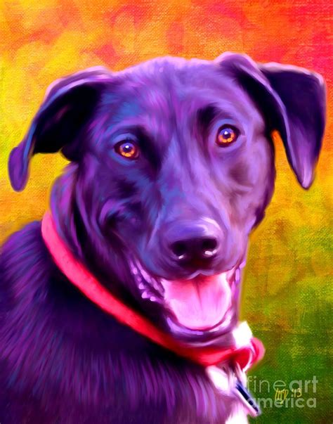 Black Labrador Art Painting by Iain McDonald - Fine Art America