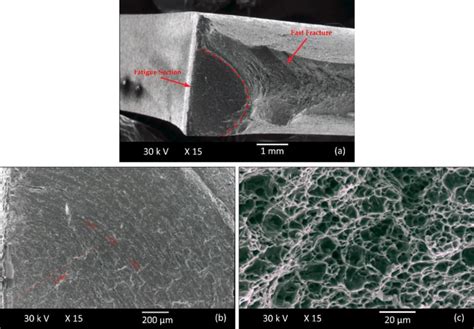 (a) Fracture surfaces with (b) fatigue and (c) fast fracture sections ...