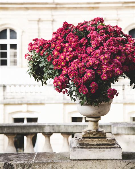 La Mémoire Vive: Autumn in Paris | Jardin du Luxembourg