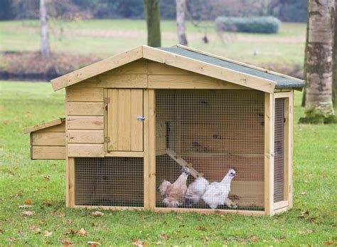 How To Build A Chicken Coop: Chicken Coops Designs - Top Tips To ...