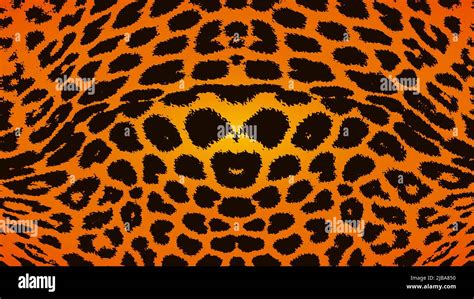 Cheetah skin texture vector Stock Vector Image & Art - Alamy