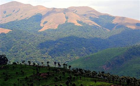 Valparai - Unexplored wonder! - Travel Twosome