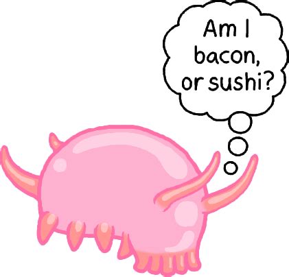 Where did the name SEA PIG come from Sea Pig, Echinoderm, Marine Biology, Deep Sea, Funny ...