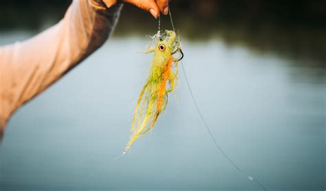 Fly Fishing Streamers - Everything You Need to Know