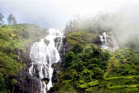 Relish the Exotic Waterfalls in Munnar - Travel