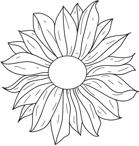 Rose flower line drawing vector free vector download (110,036 Free ...