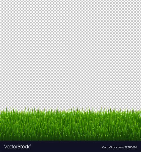 Green grass border transparent background Vector Image