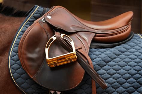 5 Best English Saddle Brands on the Market - Horse Rookie