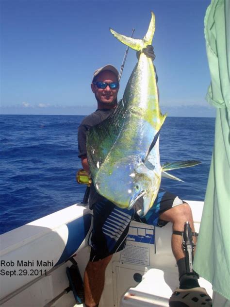 Mahi Mahi season already started in Puerto Rico - Puerto Rico - Spearfishing World forum