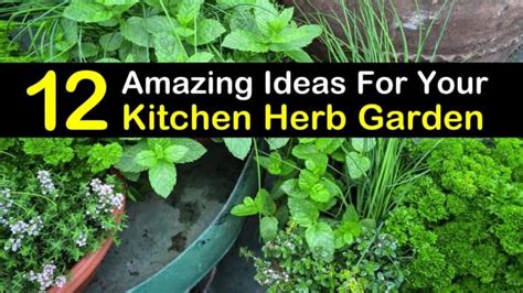 12 Amazing Ideas for Your Kitchen Herb Garden