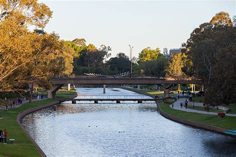 Parramatta Light Rail Update For Riders – Bicycle NSW