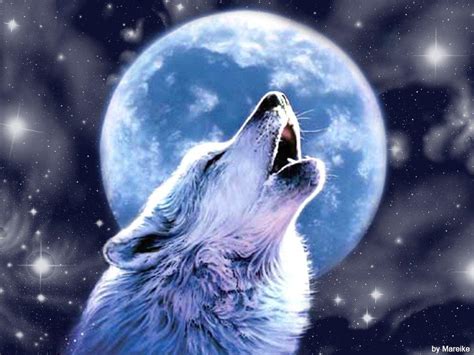 Wolf Howling At The Moon Wallpapers - Wallpaper Cave