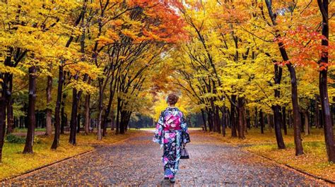 Japan in October: Travel Tips for Fall | Bookmundi