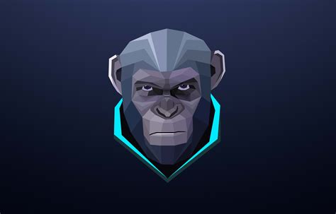 2048x2048 Resolution Monkey Minimalism Ipad Air Wallpaper - Wallpapers Den