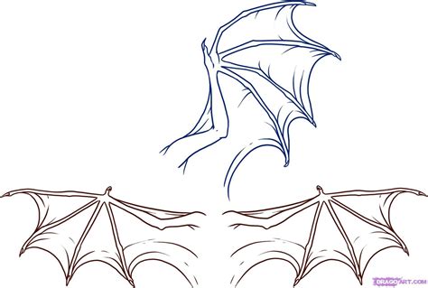 How to draw dragon wings step by step drawing guide by dawn – Artofit