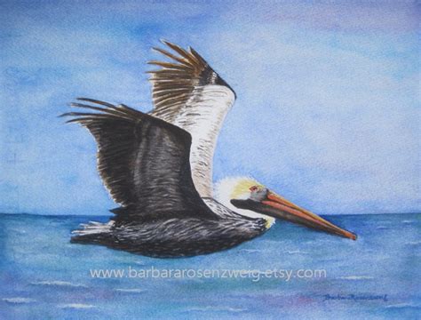 Flying Pelican Watercolor Painting, Coastal Home Décor Wall Art - Etsy