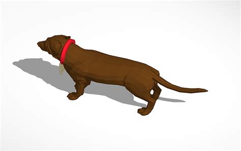 3D design tinkercad dog | Tinkercad