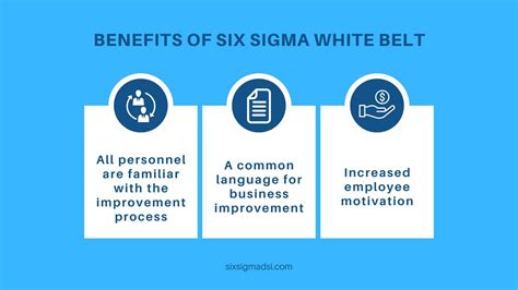 What is a lean Six Sigma White Belt?