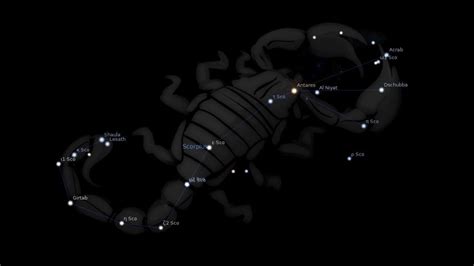 Antares Star – Heart of the Scorpion – Astrology King