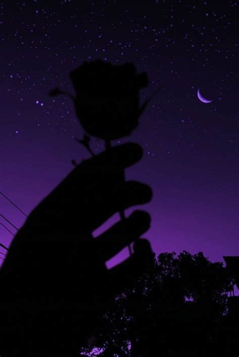 Download Rose Silhouette Dark Purple And Black Wallpaper | Wallpapers.com