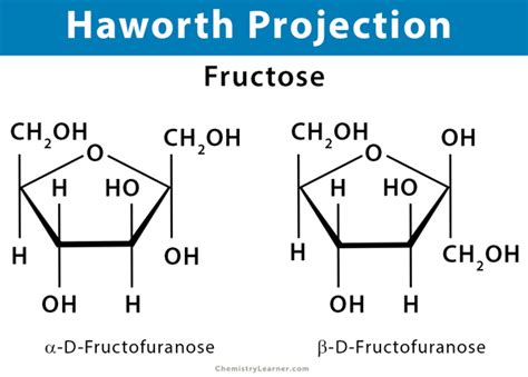 Haworth Projection: Definition, Illustration, and Examples