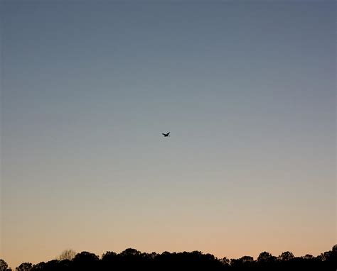 Sunset Bird Silhouette Photograph by Ian Robinson - Fine Art America