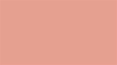 Coral Blush Solid Color Background Image | Free Image Generator