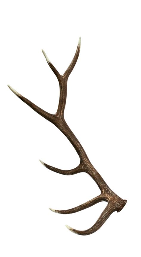 Elk Faux Antler | Cast Horn Designs