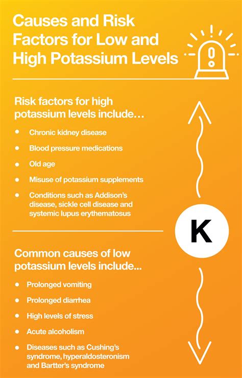 What Is Potassium and Why Do We Need It: 15 Foods High in Potassium – The Amino Company