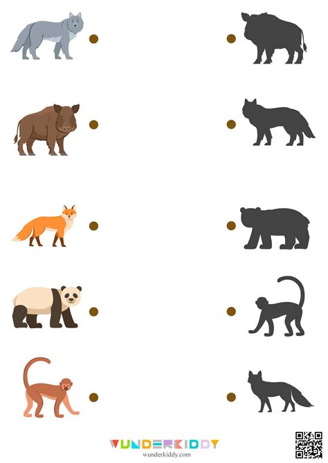 🔎Animal Shadows Preschool Printouts 🟢PDF:... - WunderKiddy - Free ...