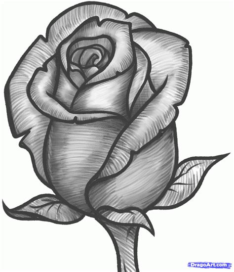 how to draw a rose bud, rose bud step 11 | Rose sketch, Roses drawing, Flower sketches