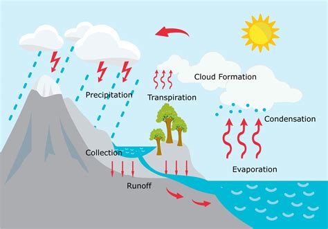 Water Cycle Illustration 98760 Vector Art at Vecteezy