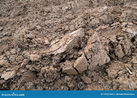 Loamy soil stock photo. Image of environment, climate - 14251264