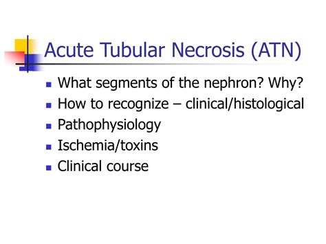 PPT - Acute Tubular Necrosis PowerPoint Presentation, free download - ID:1464534