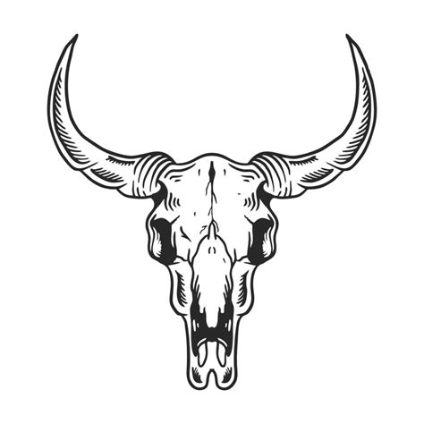 Cow Skull Vector Art, Icons, and Graphics for Free Download