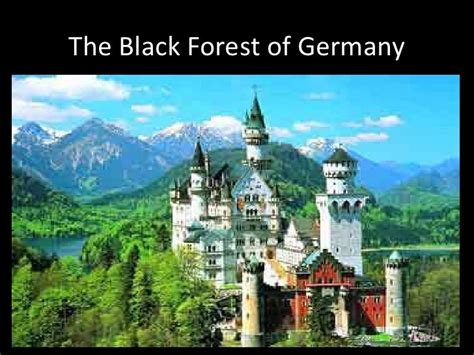 The Black Forest Of Germany