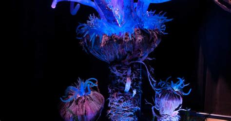 AVATAR - Bioluminescent flora prototype - Photo 2 of 2