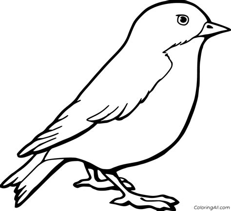 Robin Coloring Pages (25 Free Printables) - ColoringAll