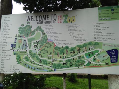 Assam State Zoo and Botanical Garden Guwahati | 2023 Tickets & Tours