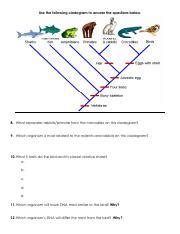 Cladogram Worksheet.pdf - Use the following cladogram to answer the questions below. 8. What ...