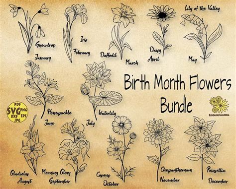 Birth Month Flowers Svg Bundle, Birth Month Flower, Flower Svg, Floral Svg, Birth Flower Shirt ...