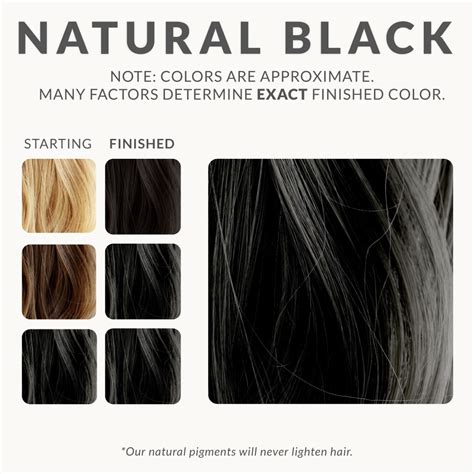 Natural Black Henna Hair Dye – Henna Color Lab® – Henna Hair Dye