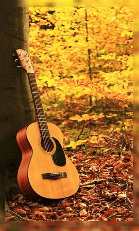 Acoustic Guitarist Wallpaper