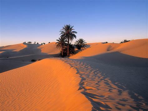 Sahara Wallpapers - Wallpaper Cave