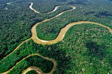 Satu Harapan: Pantau Hutan Amazon, Brasil Bangun Menara Observasi Raksasa